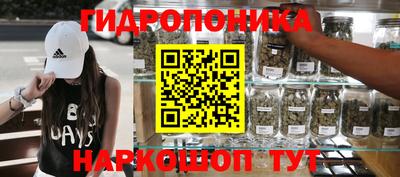 индика Заводоуковск