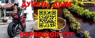 индика Заводоуковск